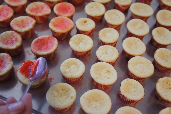 Icing Gourmet Cupcakes_jello shot cupcake