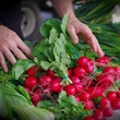 News_community garden_radish_onions_farmers market