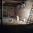 News_Mongoose vs. Cobra_bar
