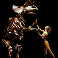 AT&T Performing Arts Center presents Momix: Opus Cactus