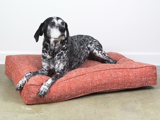 BG Dog Beds