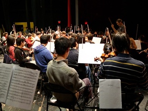 5, Houston Youth Symphony 65th anniversary concert, January 2013