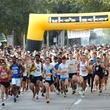 20th Annual TXU Energy Turkey Trot benefiting Sheltering Arms Senior Services