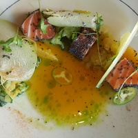 Trace Hell Night benefiting Sustainable Food Center