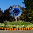 Dallas, Dallas Arboretum, Autumn at the Arboretum, Chihuly, Rod Lindley, Melisa Ambers