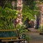 Austin Photo Set: News_shelley_casa de luz_nov 2012_walkway