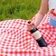 Picnic Dress