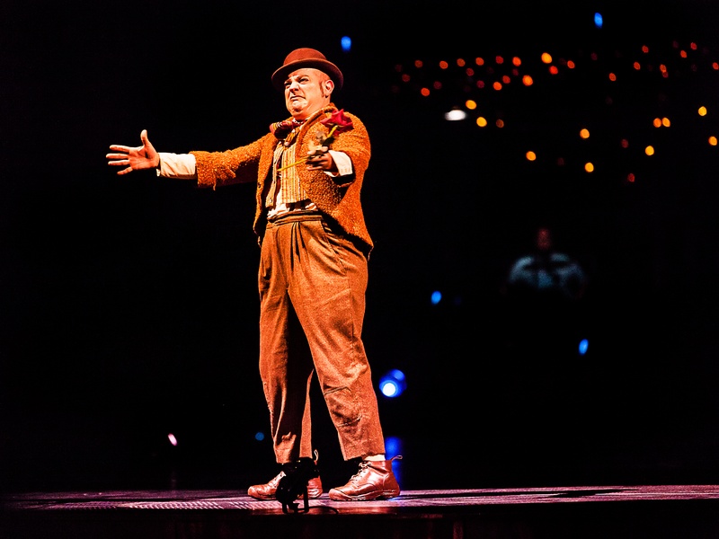 Cirque du Soleil, Quidam