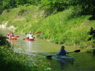 Bayou Preservation Association's Cypress Creek Regatta