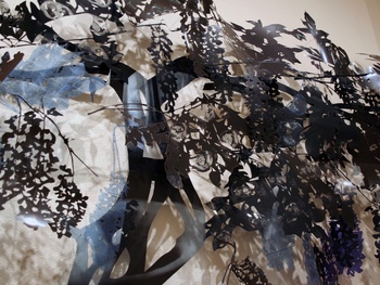 Barello-Wisteria-2 