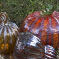 Wimberley Glassworks presents Annual Smorgasgourd of Glass Pumpkins and Gourds