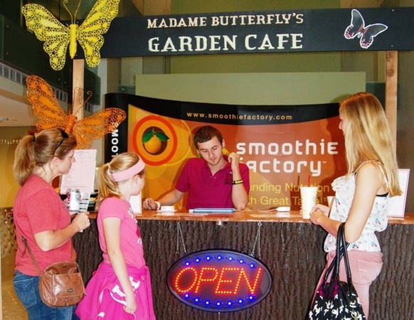 Madame Butterfly's Garden Café, Fair Park