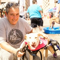 Puppy Mills presents 8th Annual Puppy Mill Awareness Day of Texas