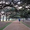 News_Run in the Park_Hermann Park_new trails