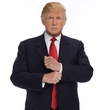 News_Donald Trump_knockout