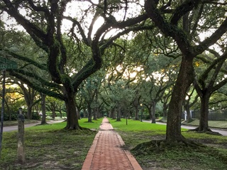 Harris County Precinct 4 presents Sustainable Landscape Conference