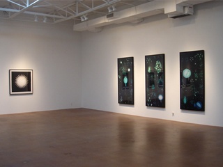 Holly Johnson Gallery