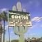 News_Cactus Music_cactus sign