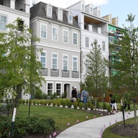 Somerset Green, sized