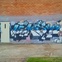 NEKST