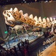 Perot Museum 