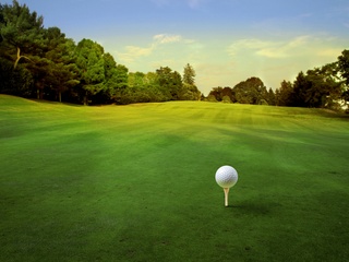 Golf generic
