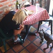 News_Paws on Patios