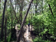 Austin photo: places_outdoors_walnut creek park_trail