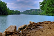 Austin_photo: Places_Outdoors_Red Bud Isle_beach