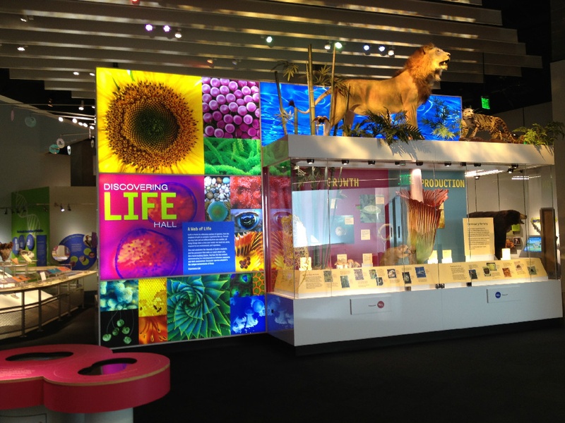 Perot Museum of Nature and Science, Discovering Life Hall