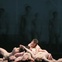 Austin Photo Set: News_Shelley Seale_Ballet Austin_Light The Holocaust & Humanity Project_march 2012_2