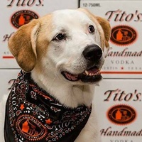 Tito's Vodka brand Vodka for Dog People 2015