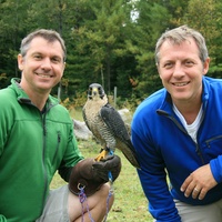 Wild Kratts