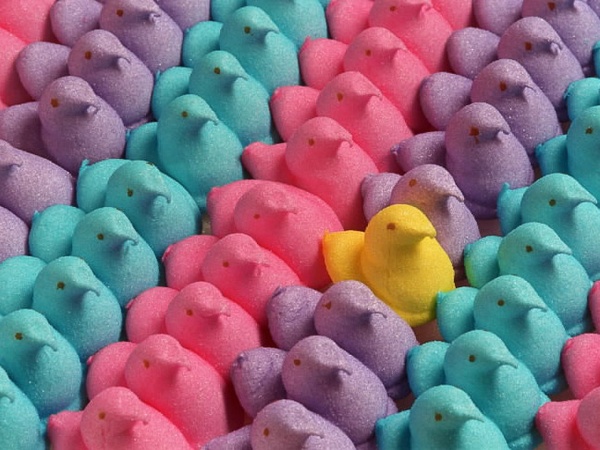 News_Peeps_candy_birds