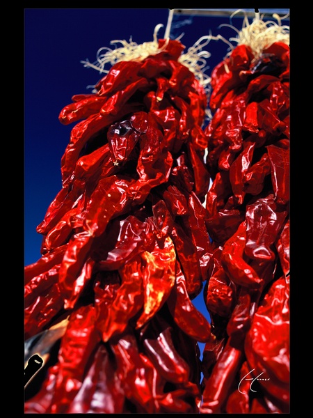 Hunter Gorham, audio photo essay, July 2012, Chilis De Fuego