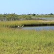 Joel, Galveston Island State Park, September 2012