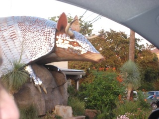 Goode's Armadillo Palace