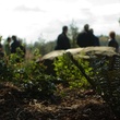 green burial, natural burial, park, December 2012