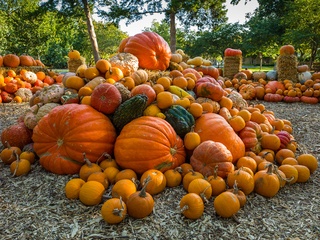 Dallas, Dallas Arboretum, Autumn at the Arboretum, Melisa Ambers, Rod Lindley