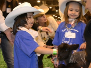 RodeoHouston 2014: Lil' Rustlers Rodeo