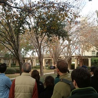 AIA Houston presents Montrose Walking Tour
