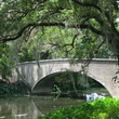 News_Peter Barnes_New Orleans_city park