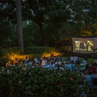 The Museum of Fine Arts, Houston outdoor film screening