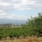 austin photo set: news_sept_2012_matt_texas wine in spain