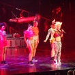 Pink concert, February 2013