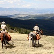 Unbranded documentary, horses, mountains, January 2013