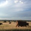 Texas Hill Country