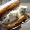 Coolhaus, ice cream, cookies.jpg