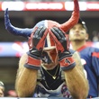 Distraught Texans fan