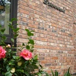 News_Brennan's_Feb. 2010_flowers_logo